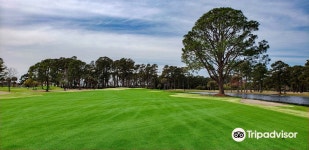 휘스페링 파인스 골프 코스 티켓 할인, 운영 시간, 후기 [2025년] | Trip.com