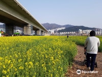 맥도생태공원 티켓 할인, 운영 시간, 후기 [2026년] | Trip.com