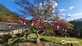 나한산 만연사(羅漢山 萬淵寺) 티켓 할인, 운영 시간, 후기 [2026년] | Trip.com