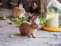 Napoh Eco Farm 티켓 할인, 운영 시간, 후기 [2026년] | Trip.com