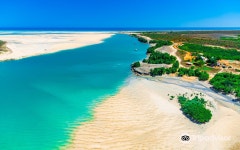 윌리 크릭 진주 농장 티켓 할인, 운영 시간, 후기 [2026년] | Trip.com