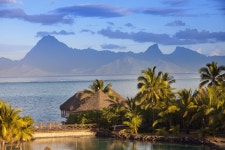 타히티 호텔 추천, 타히티 숙소 2026 | 트립닷컴