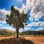 [🇰🇷, 창원] 가을을 즐기며 용지문화공원에서 산책 즐기자~🍁🍂 | 트립닷컴 나라 트래블로그