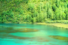 다하이즈 티켓 할인, 운영 시간, 후기 [2026년] | Trip.com