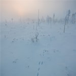무주 덕유산 리조트 ❄ | 트립닷컴 대한민국 트래블로그