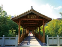 Golden Bridge 티켓 할인, 운영 시간, 후기 [2026년] | Trip.com