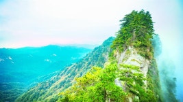 내향 버스 정류장 호텔 추천, 네이샹 2025 | 트립닷컴