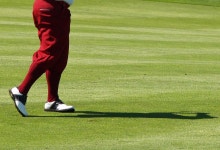 세미야무 골프 & 컨트리 클럽 티켓 할인, 운영 시간, 후기 [2025년] | Trip.com