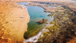 아라산좌기 관광지 (2025년 업데이트) | Trip.com 추천