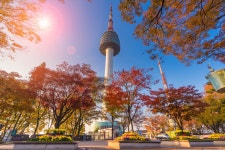 남산 공원 티켓 할인, 운영 시간, 후기 [2026년] | Trip.com