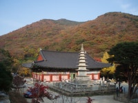 오륜대 한국순교자박물관 티켓 할인, 운영 시간, 후기 [2025년] | Trip.com