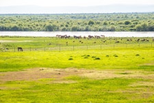 자오수 천마 문화원 티켓 할인, 운영 시간, 후기 [2026년] | Trip.com