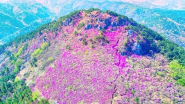 영취산슈퍼 식당 | 영취산 티켓 할인, 운영 시간, 후기 [2026년] | Trip.com