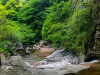 반창 생태 관광단지 티켓 할인, 운영 시간, 후기 [2026년] | Trip.com