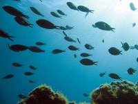 솔타 섬 티켓 할인, 운영 시간, 후기 [2025년] | Trip.com