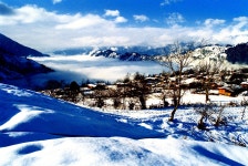 궁산 호텔 추천 Top 10 최저가 예약 | 트립닷컴