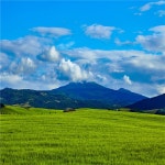 도넛맛집 핫플 오션뷰 카페 제주 랜디스 도넛 | 트립닷컴 아시아 트래블로그