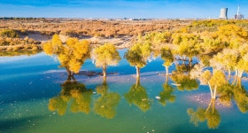 아라산좌기 관광지 (2025년 업데이트) | Trip.com 추천