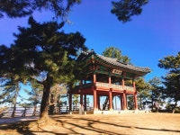 부소산성 티켓 할인, 운영 시간, 후기 [2026년] | Trip.com