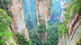 세계유산 “무릉원의 하이라이트” 고가계와 아마코야마(로프웨이와 엘리베이터 이용)와 십리화랑·금채계 일일 관광 점심 포함 <호텔 송영... 