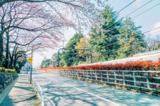 케이오 대학 티켓 할인, 운영 시간, 후기 [2026년] | Trip.com