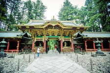 대유원 티켓 할인, 운영 시간, 후기 [2026년] | Trip.com