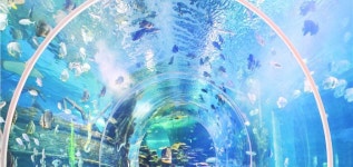 시외버스 터미널 / 린이(임기) 대학구 여행 가이드(2025년): 인기 관광지, 교통, 날씨 등 (업데이트 날짜: 2025년 10월) | Trip.com