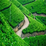 - 펫차분 여행 리뷰｜트립닷컴 트립 가이드  - 펫차분 여행 리뷰｜트립닷컴 트립 가이드