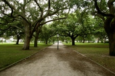 카롤리나 렌 공원 티켓 할인, 운영 시간, 후기 [2025년] | Trip.com