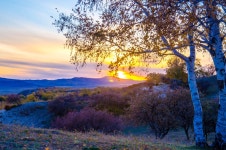 홍산군마장 티켓 할인, 운영 시간, 후기 [2026년] | Trip.com