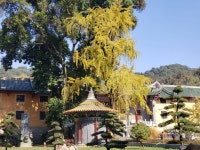 남화사 티켓 할인, 운영 시간, 후기 [2026년] | Trip.com