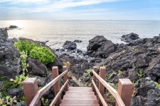 월령 선인장 군락지 티켓 할인, 운영 시간, 후기 [2026년] | Trip.com