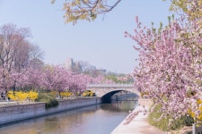 원대도성원 유적공원 티켓 할인, 운영 시간, 후기 [2025년] | Trip.com
