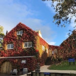 스토니릿지 바인야드 티켓 할인, 운영 시간, 후기 [2026년] | Trip.com