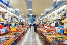 자갈치시장 티켓 할인, 운영 시간, 후기 [2026년] | Trip.com