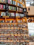 압구정에서 휴식을, 노블레스 컬렉션 | 트립닷컴 강남구 압구정에서 휴식을, 노블레스 컬렉션 | 트립닷컴 강남구 