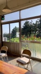 #제주도애견동반카페