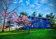 호수 사이의 여관 후기 및 특가 예약 - 뉴버스 타운쉽 호텔 추천 | 트립닷컴