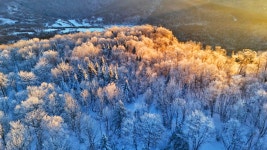 위호산 국가 삼림공원 티켓 할인, 운영 시간, 후기 [2026년] | Trip.com