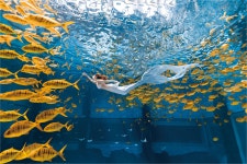 HAICHANG OCEAN SECRET ARIUM 티켓 할인, 운영 시간, 후기 [2026년] | Trip.com