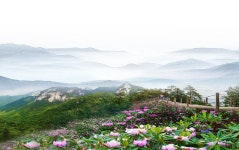 무왕 국립 삼림 공원 티켓 할인, 운영 시간, 후기 [2026년] | Trip.com
