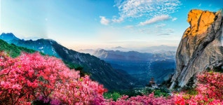 황강 관광지 (2026년 업데이트) | Trip.com 추천