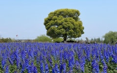 주포 화해 티켓 할인, 운영 시간, 후기 [2026년] | Trip.com