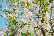 탕산 관광지 (2026년 업데이트) | Trip.com 추천