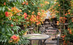 비체올린 티켓 할인, 운영 시간, 후기 [2026년] | Trip.com