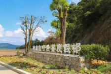 Lingnan Red Leaf World 티켓 할인, 운영 시간, 후기 [2026년] | Trip.com