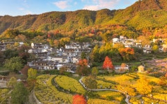 탑천 티켓 할인, 운영 시간, 후기 [2026년] | Trip.com