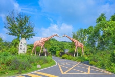 호주 기린 장원 티켓 할인, 운영 시간, 후기 [2026년] | Trip.com