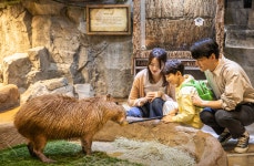 주렁주렁 하남점 티켓 할인, 운영 시간, 후기 [2026년] | Trip.com