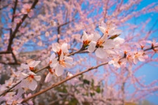 탕산 관광지 (2026년 업데이트) | Trip.com 추천